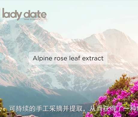 阿爾卑斯玫瑰杜鵑花
